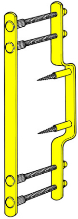 2004yellow